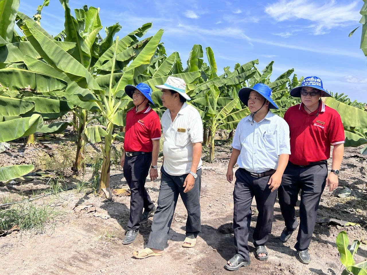 Agribank Chi nh&aacute;nh An Giang tiếp sức về vốn để đẩy l&ugrave;i "t&iacute;n dụng đen" ở n&ocirc;ng th&ocirc;n