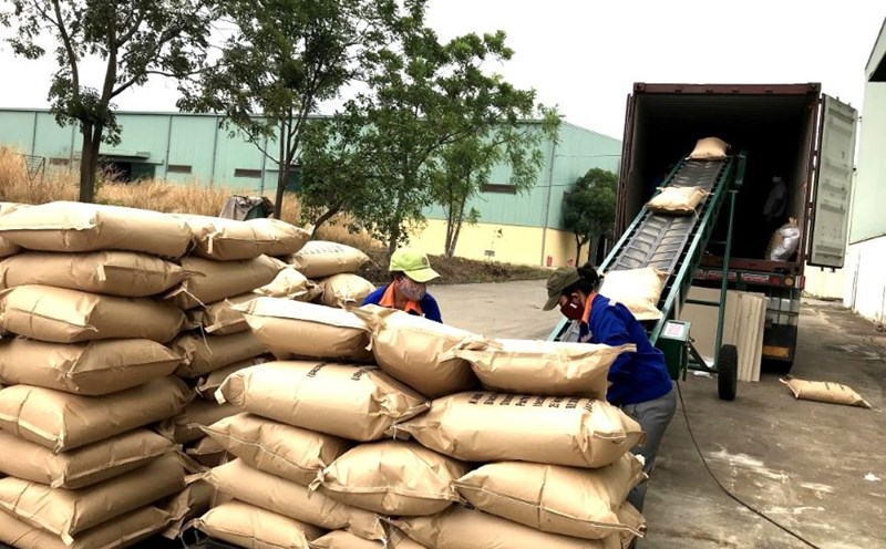 Đắk Lắk: Kim ngạch xuất nhập khẩu năm 2025 vượt mốc 3,6 tỷ USD, xác lập kỷ lục tăng trưởng mới