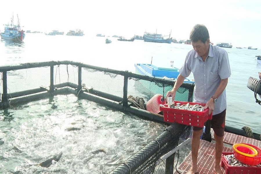 Nu&ocirc;i trồng hải sản lồng b&egrave; cũng được duy tr&igrave;