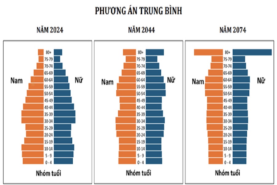 Dự b&aacute;o d&acirc;n số Việt Nam ở c&aacute;c giai đoạn. Ảnh chụp m&agrave;n h&igrave;nh