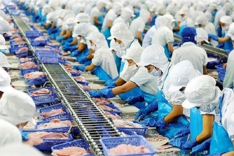 Kim ngạch xuất khẩu thủy sản lũy kế 11 th&aacute;ng đạt 10,5 tỷ USD, dự kiến cả năm 2025 đạt mức 11,3 tỷ USD.