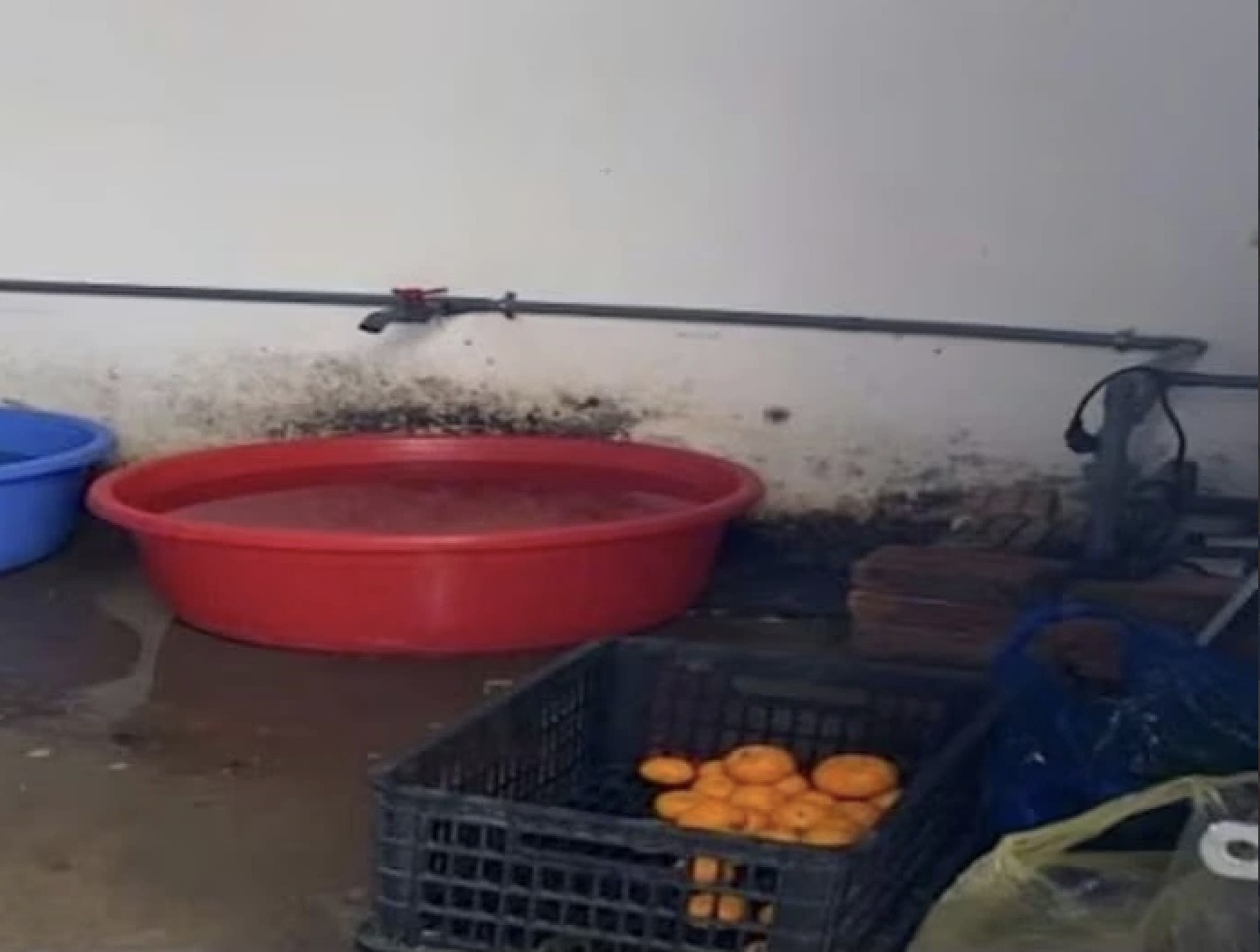 Hà Nội: Phát hiện loạt vi phạm trong cung cấp suất ăn bán trú cho học sinh