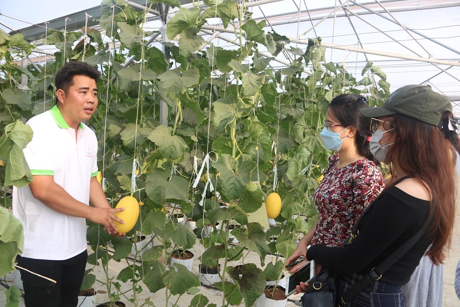 Phủ xanh vùng hoang hóa, tạo sinh kế bền vững