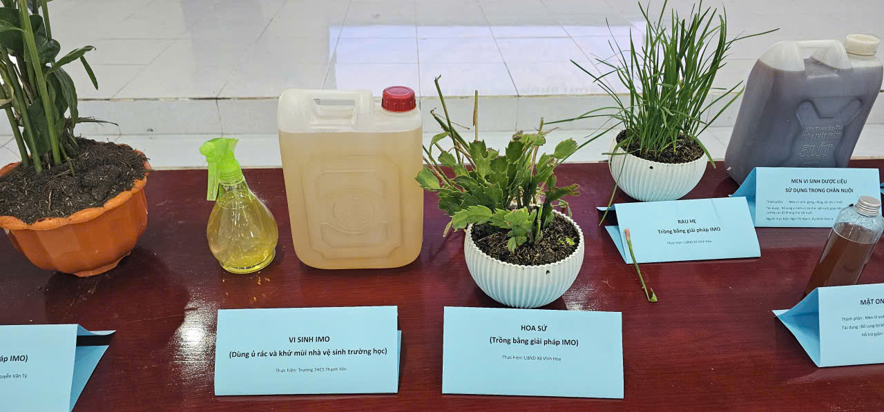 Men vi sinh bản địa - lời giải bền vững cho bài toán rác hữu cơ