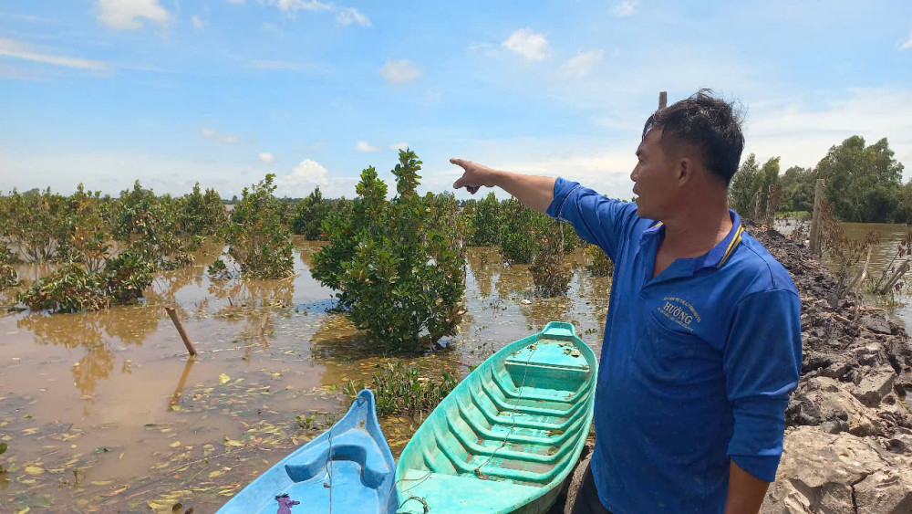 Tây Ninh quy định mức hỗ trợ khôi phục sản xuất vùng bị thiệt hại do thiên tai, dịch hại