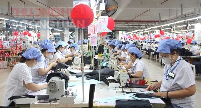 C&ocirc;ng nh&acirc;n Cty CP Dệt may 29/3 .