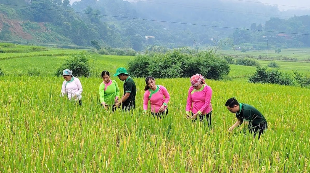 Lào Cai: Đến năm 2035, lĩnh vực trồng trọt góp phần giảm ít nhất 15% tổng lượng phát thải khí nhà kính