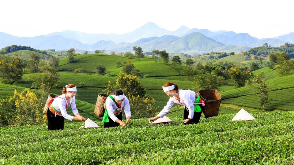 Hoàn thiện khung pháp lý cho các chương trình mục tiêu quốc gia