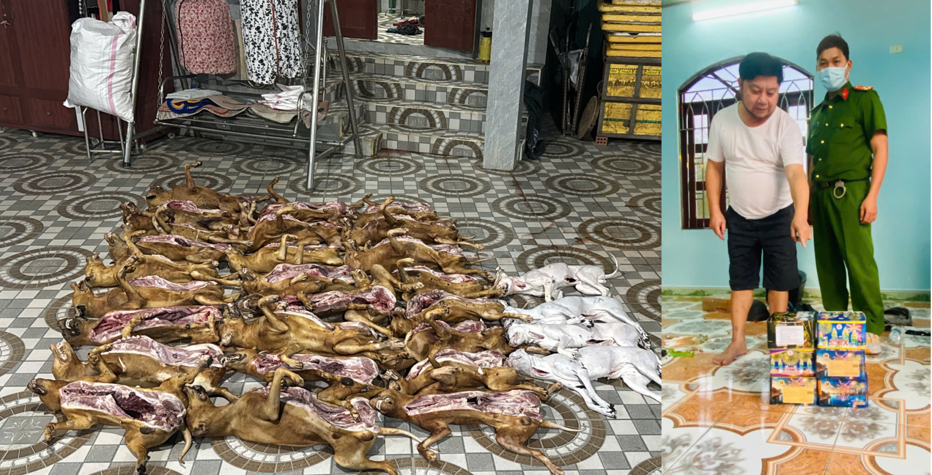 Đà Nẵng: Kiểm tra lò mổ tàng trữ thịt chó không rõ nguồn gốc, phát hiện hơn 10kg pháo nổ lậu