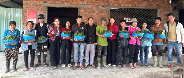 Đà Nẵng trao gần 35.000 cây sâm giống cho đồng bào Xơ Đăng