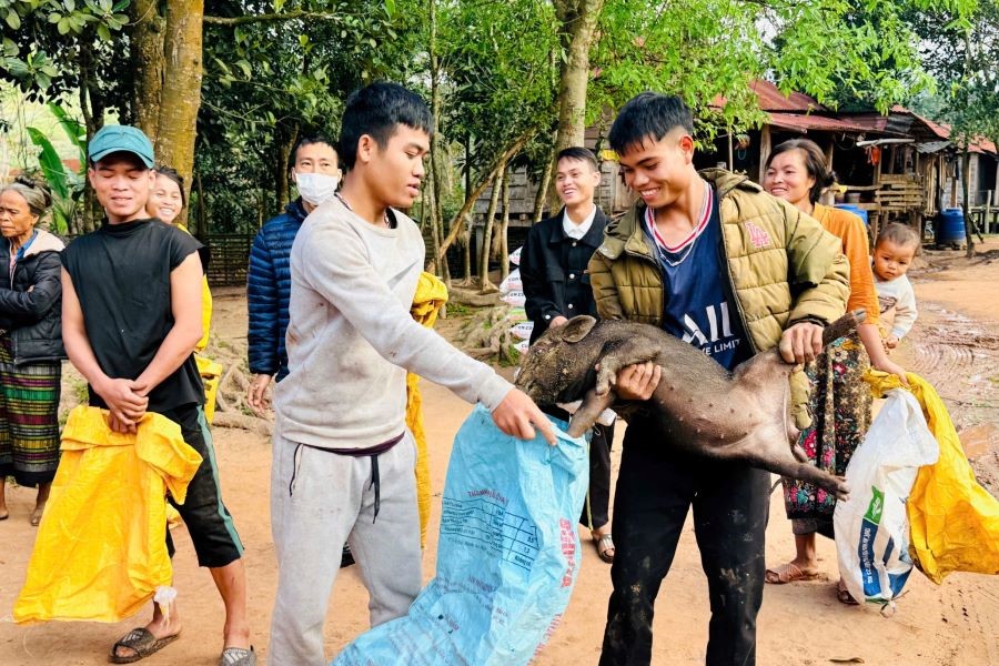 Quảng Trị: Trao 72 con lợn giống cho các hộ nghèo, hộ khó khăn