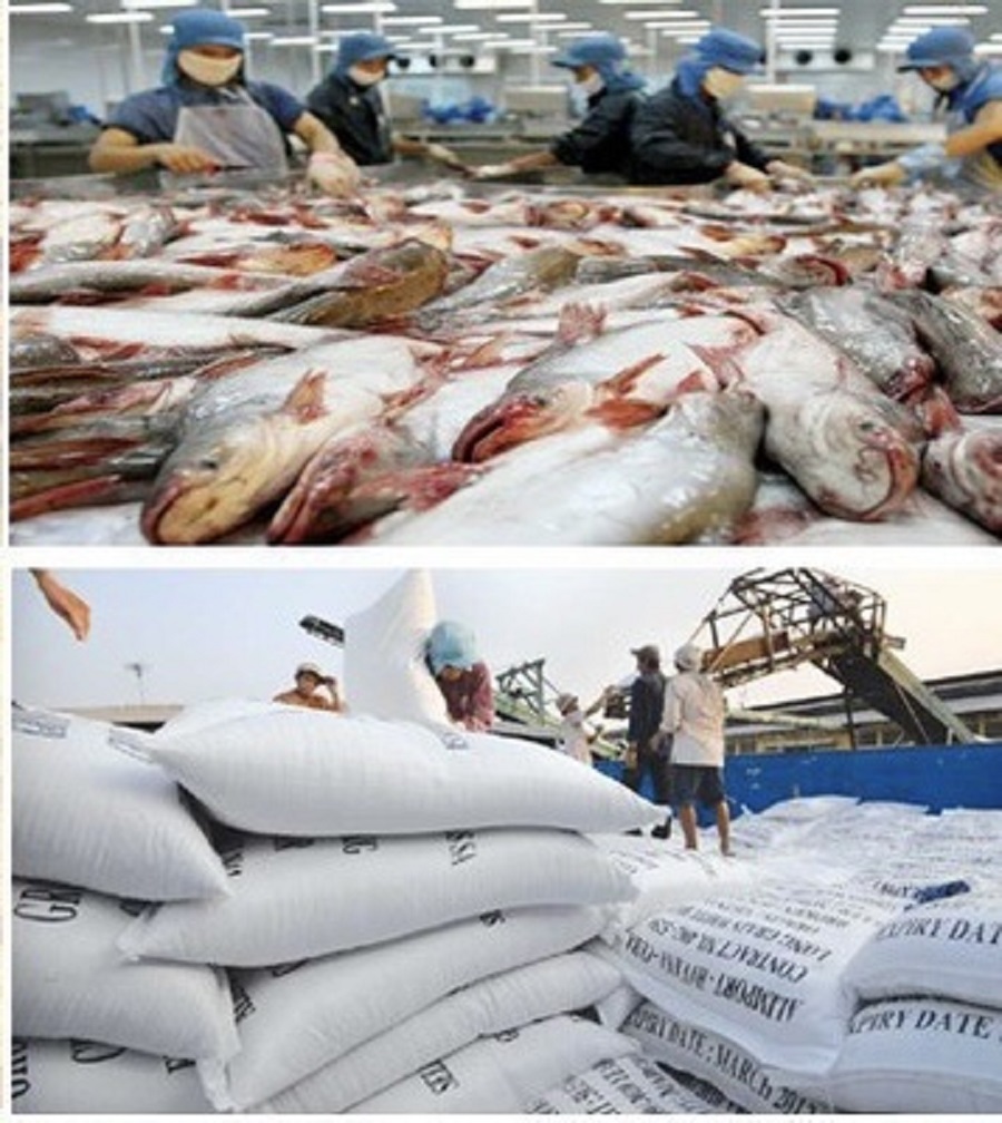 Nông nghiệp Cà Mau tăng trưởng vượt kế hoạch, hướng tới mục tiêu bền vững 2026