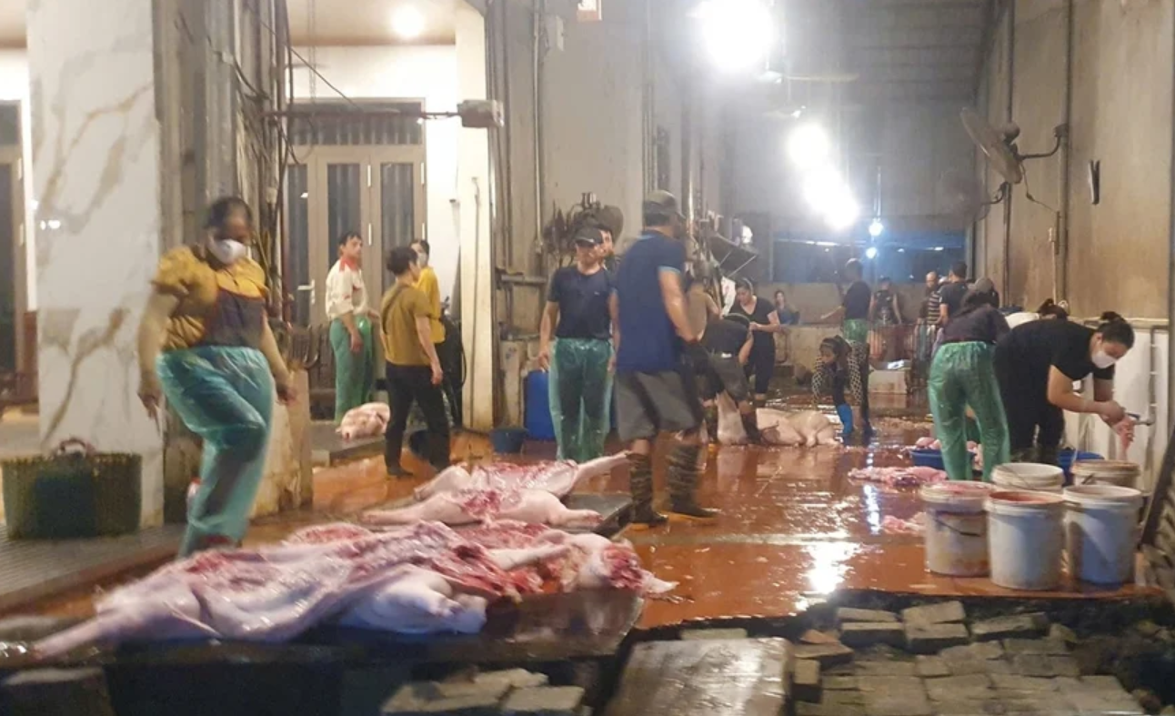 Một cơ sở giết mổ lợn tại x&atilde; Trần Ph&uacute;, H&agrave; Nội. Ảnh: TN