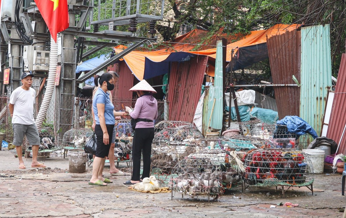 TP. H&agrave; Nội quyết t&acirc;m giải tỏa 100% c&aacute;c &ldquo;chợ c&oacute;c&rdquo;, điểm kinh doanh tự ph&aacute;t tr&ecirc;n địa b&agrave;n. Ảnh: TN