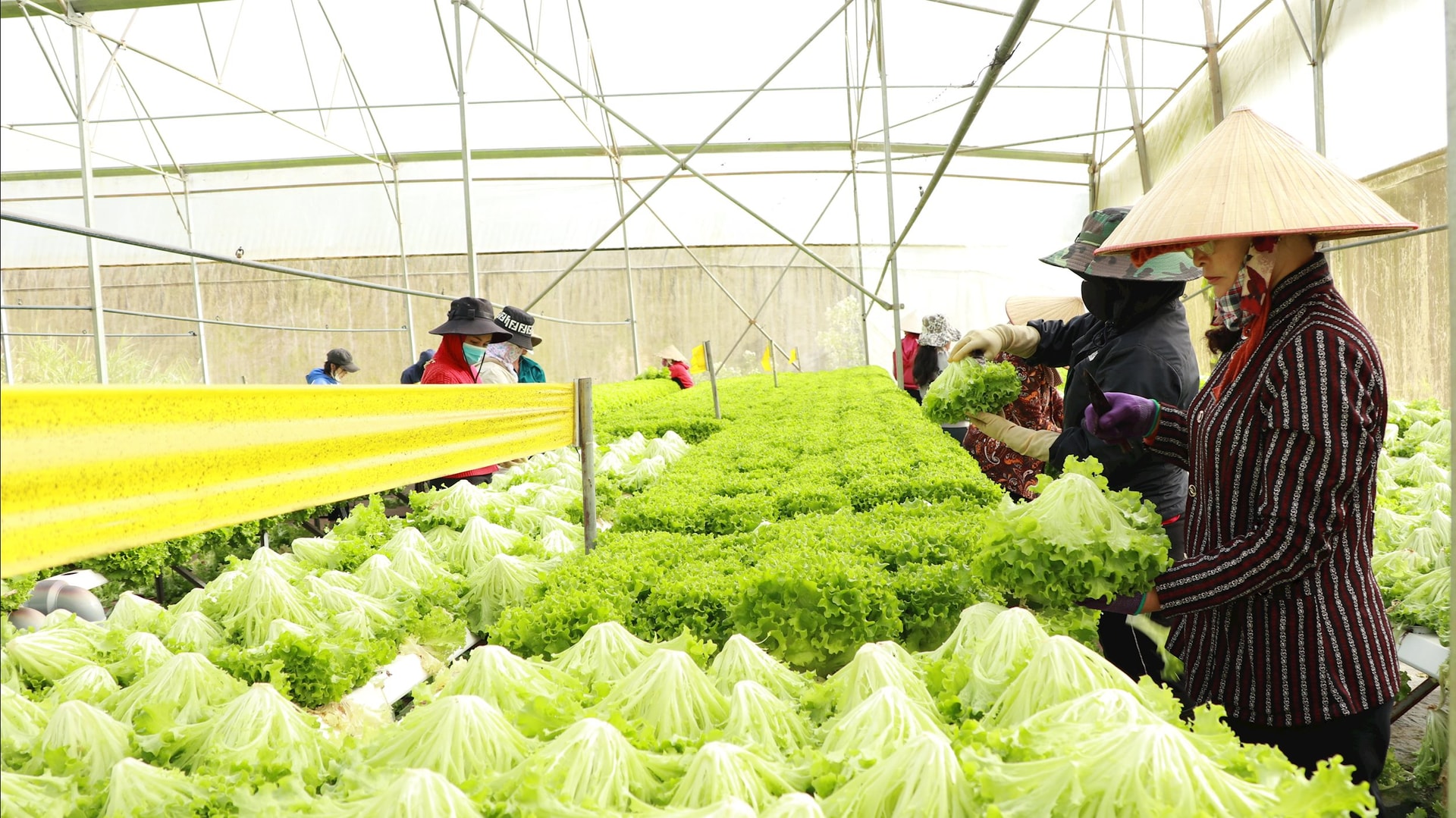 Ngành Nông nghiệp & Môi trường hoàn thành 9 chỉ tiêu, xuất khẩu nông lâm thủy sản đạt 70 tỷ USD