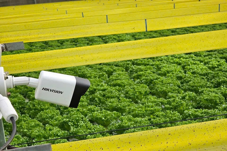 L&acirc;m Đồng l&agrave; địa phương hội tụ nhiều điều kiện thuận lợi cho ph&aacute;t triển n&ocirc;ng nghiệp c&ocirc;ng nghệ cao