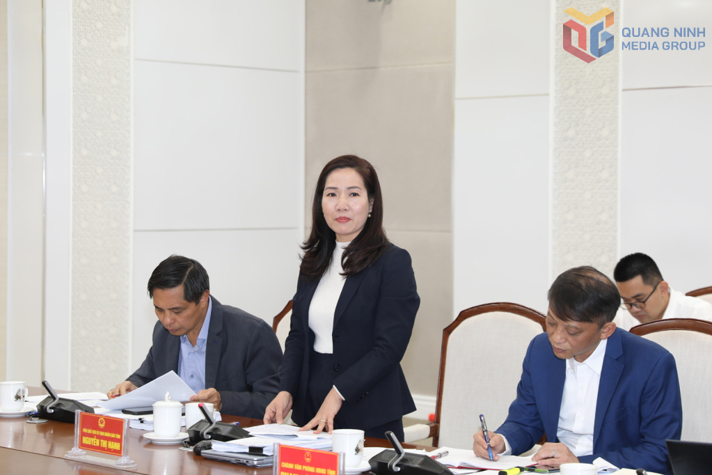 B&agrave; Nguyễn Thị Hạnh, Ph&oacute; Chủ tịch UBND tỉnh ph&aacute;t biểu tại cuộc họp