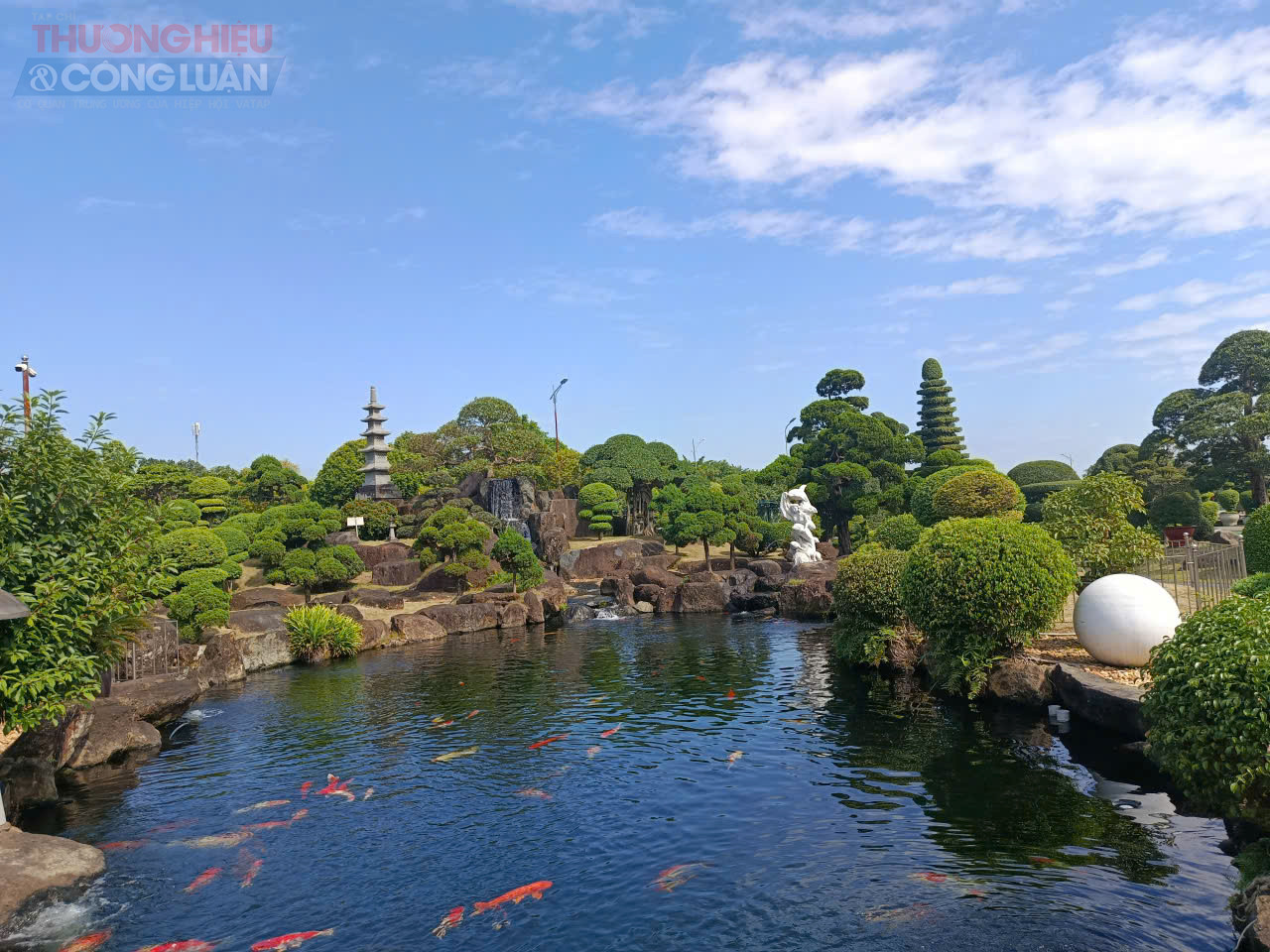 Hồ c&aacute; KOI Nhật Bản tại khu du lịch Dũng T&acirc;n