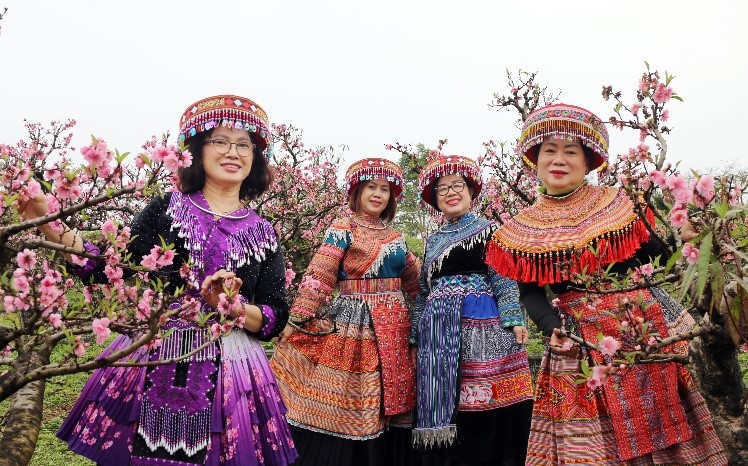 H&ograve;a với sắc đ&agrave;o hồng ngh&ecirc;nh Xu&acirc;n