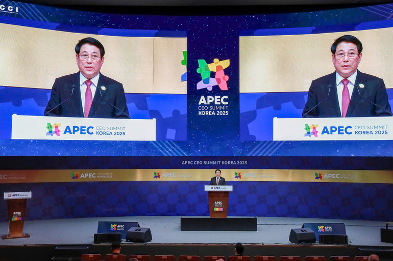 Chủ tịch nước ph&aacute;t biểu tại Diễn đ&agrave;n doanh nghiệp APEC. (Ảnh: XU&Acirc;N KỲ-THỦY NGUY&Ecirc;N)