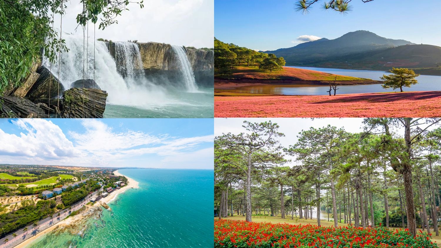 Lâm Đồng - điểm đến của “ Đại ngàn - Biển Xanh - Ngàn hoa”