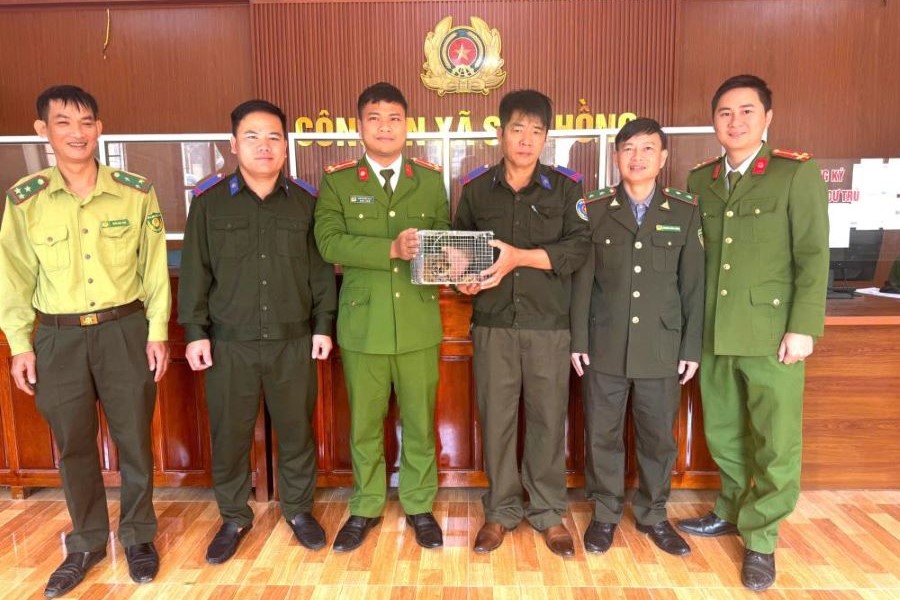 Hà Tĩnh: Tiếp nhận cá thể cu li nhỏ quý hiếm để thả về môi trường tự nhiên
