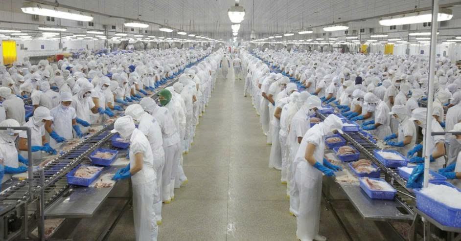 Vĩnh Hoàn (VHC) lên kế hoạch thoái vốn khỏi đơn vị xử lý, tiêu hủy rác thải không độc hại