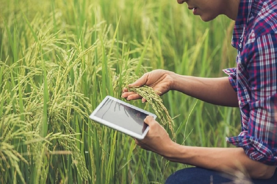 Ch&igrave;a kh&oacute;a để n&ocirc;ng nghiệp tiếp tục ph&aacute;t triển v&agrave; l&agrave;m chủ cuộc chơi ch&iacute;nh l&agrave; x&acirc;y dựng một nền tảng dữ liệu đầy đủ, ch&iacute;nh x&aacute;c v&agrave; minh bạch cho to&agrave;n ng&agrave;nh.