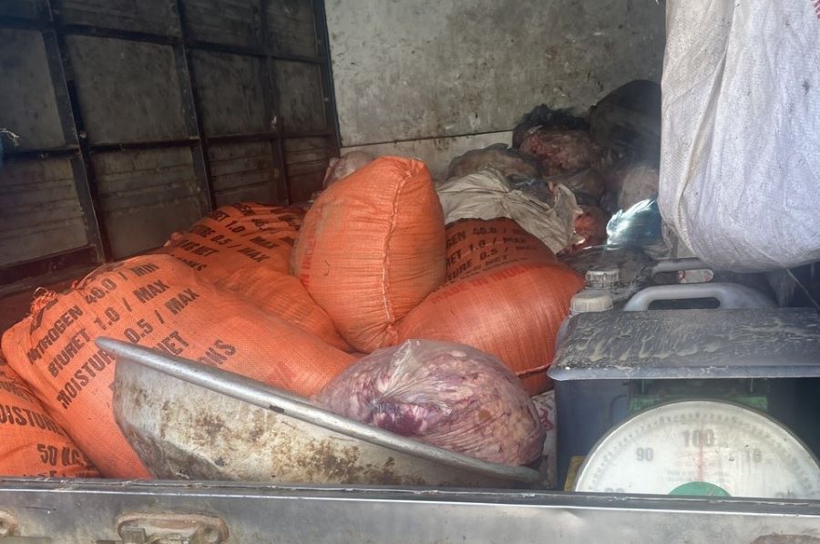 Hà Tĩnh: Tiêu hủy gần 380kg mỡ động vật và 50 lít dầu, mỡ đã qua sử dụng, không rõ nguồn gốc