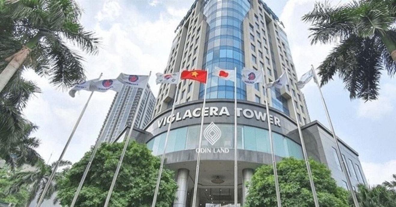 Kế hoạch 2026 của Viglacera: Doanh thu đi ngang, lợi nhuận nhích 4,4%
