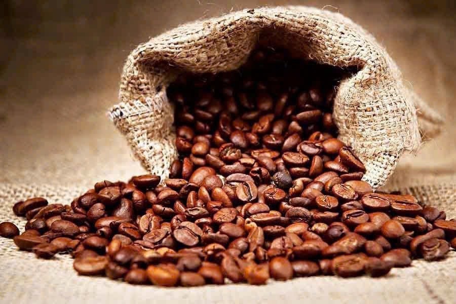 C&agrave; ph&ecirc; nh&acirc;n Robusta xuất khẩu. H&igrave;nh minh hoạ