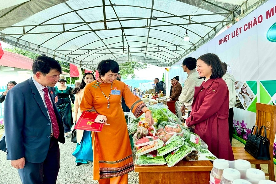 C&aacute;c sản phẩm với thương hiệu Đ&agrave; Lạt - Kết tinh kỳ diệu từ đất l&agrave;nh khẳng định vị thế h&agrave;ng đầu cả nước về n&ocirc;ng nghiệp c&ocirc;ng nghệ cao của L&acirc;m Đồng. Ảnh tư liệu