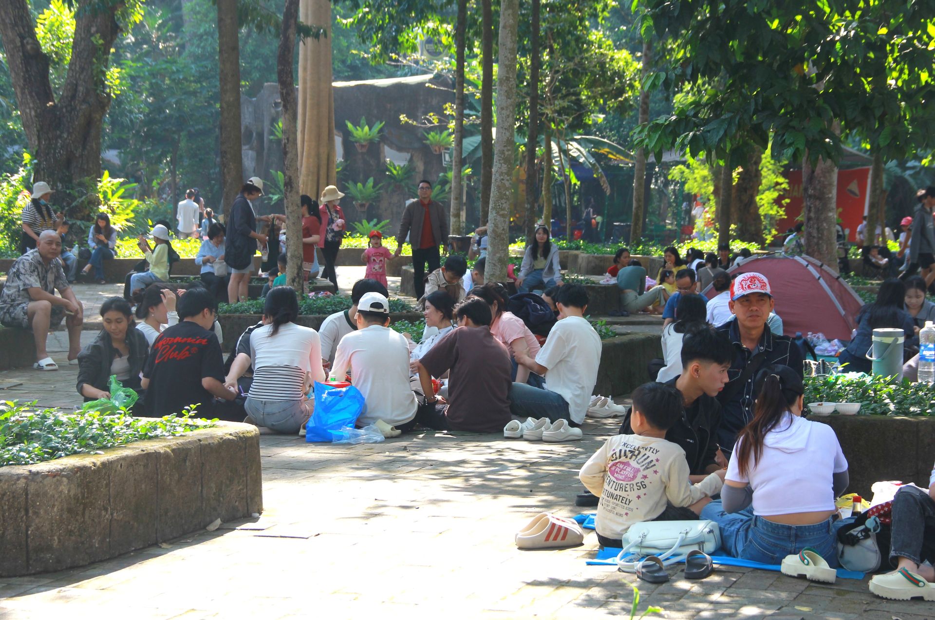 Thảo Cầm Vi&ecirc;n S&agrave;i G&ograve;n c&oacute; nhiều cổ thụ phủ b&oacute;ng m&aacute;t, n&ecirc;n nơi đ&acirc;y trở th&agrave;nh điểm để kh&aacute;ch ăn uống, tr&ograve; chuyện, nghỉ ngơi