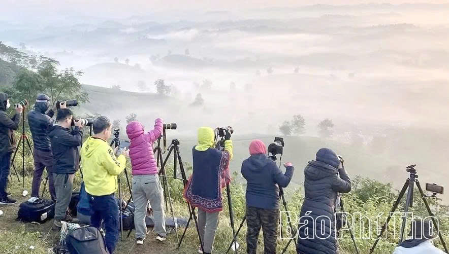 Đồi ch&egrave; Long Cốc, x&atilde; Long Cốc thu h&uacute;t du kh&aacute;ch đến trải nghiệm, kh&aacute;m ph&aacute;.