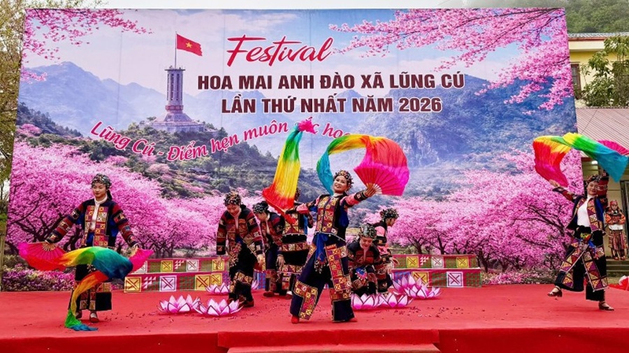 Tuyên Quang khai mạc Festival hoa mai anh đào lần thứ nhất năm 2026