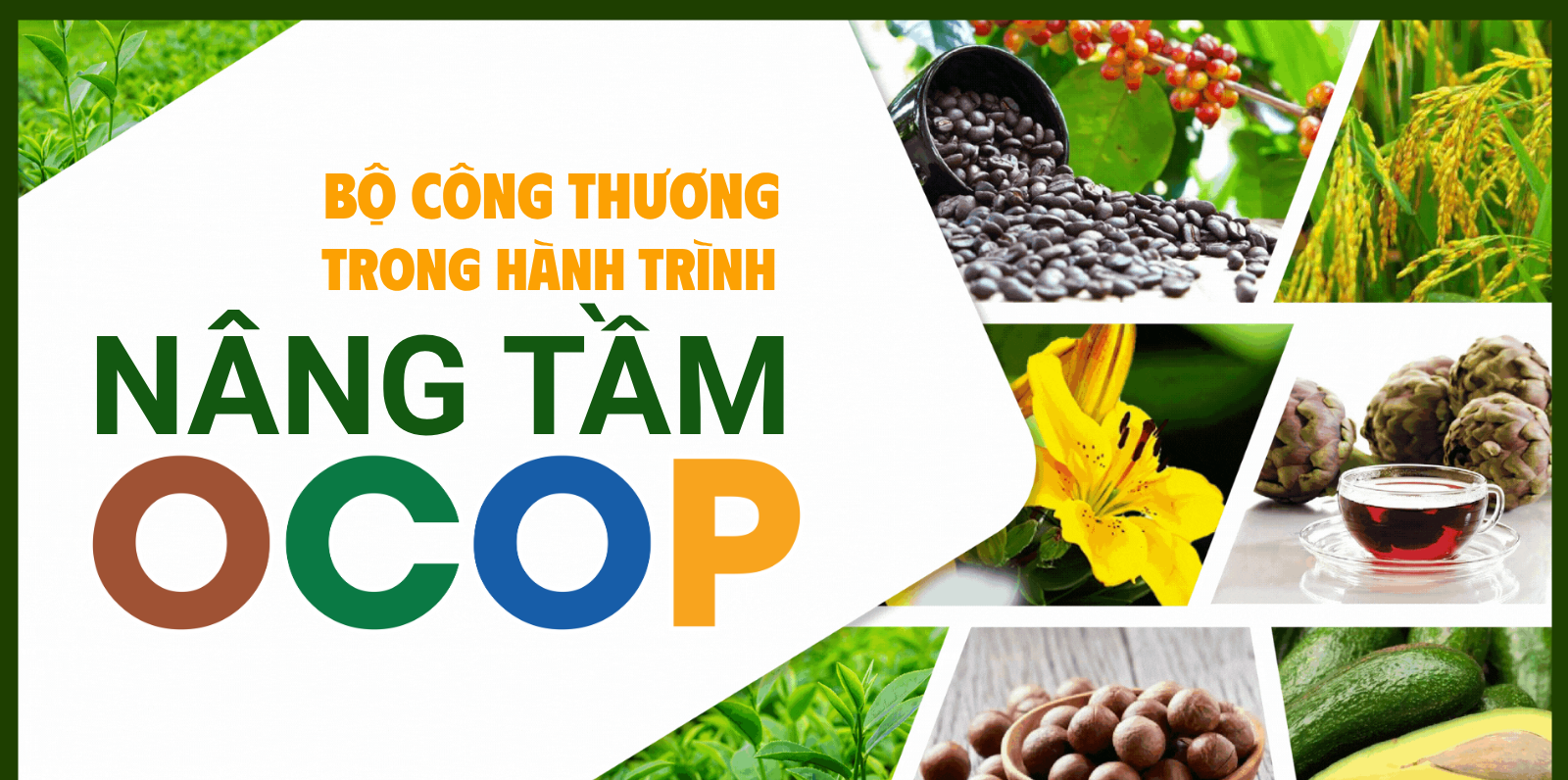 Chương trình OCOP trước yêu cầu nâng chất Chương trình OCOP trước yêu cầu nâng chất