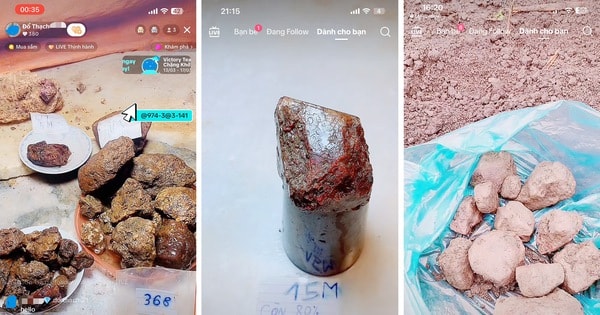 C&ocirc;ng an Ninh B&igrave;nh điều tra vụ lừa đảo 'đổ thạch' t&igrave;m đ&aacute; qu&yacute; tr&ecirc;n mạng