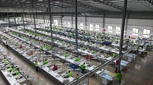 Khẩn trương điều tra, xử lý vụ nghi ngờ ngộ độc thực phẩm tại Đồng Tháp