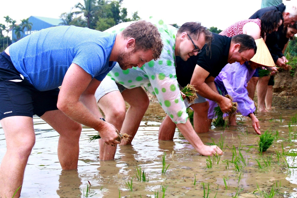 Du kh&aacute;ch th&iacute;ch th&uacute; với trải nghiệm cấy l&uacute;a tại Hội An