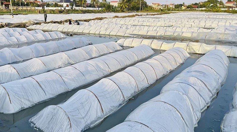 Thanh Hóa chuẩn bị các điều kiện sản xuất vụ xuân