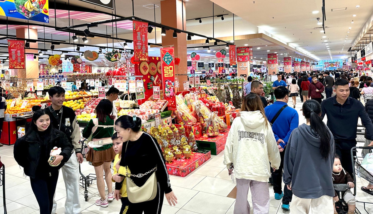 Thị trường nội địa 2026 – 2030: Sức bật từ già hóa dân số và tầng lớp trung lưu