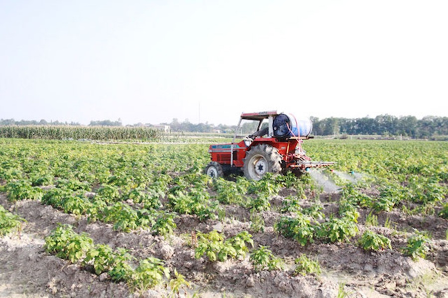 HTX ứng dụng cơ giới ho&aacute; trong trồng khoai t&acirc;y.