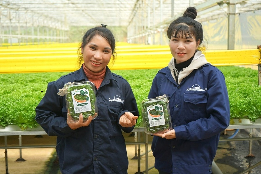 Trong năm 2026, Lâm Đồng tập trung tái cơ cấu ngành nông nghiệp gắn với mô hình tăng trưởng theo chiều sâu. Ảnh tư liệu Trong năm 2026, Lâm Đồng tập trung tái cơ cấu ngành nông nghiệp gắn với mô hình tăng trưởng theo chiều sâu. Ảnh tư liệu