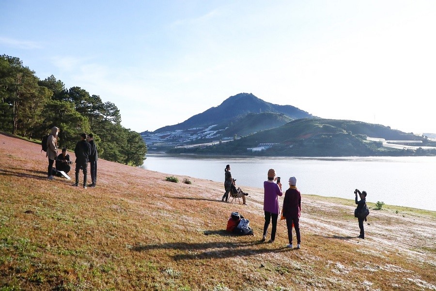 Du khách trải nghiệm ngắm cỏ hồng khi đến du lịch Đà Lạt Du khách trải nghiệm ngắm cỏ hồng khi đến du lịch Đà Lạt