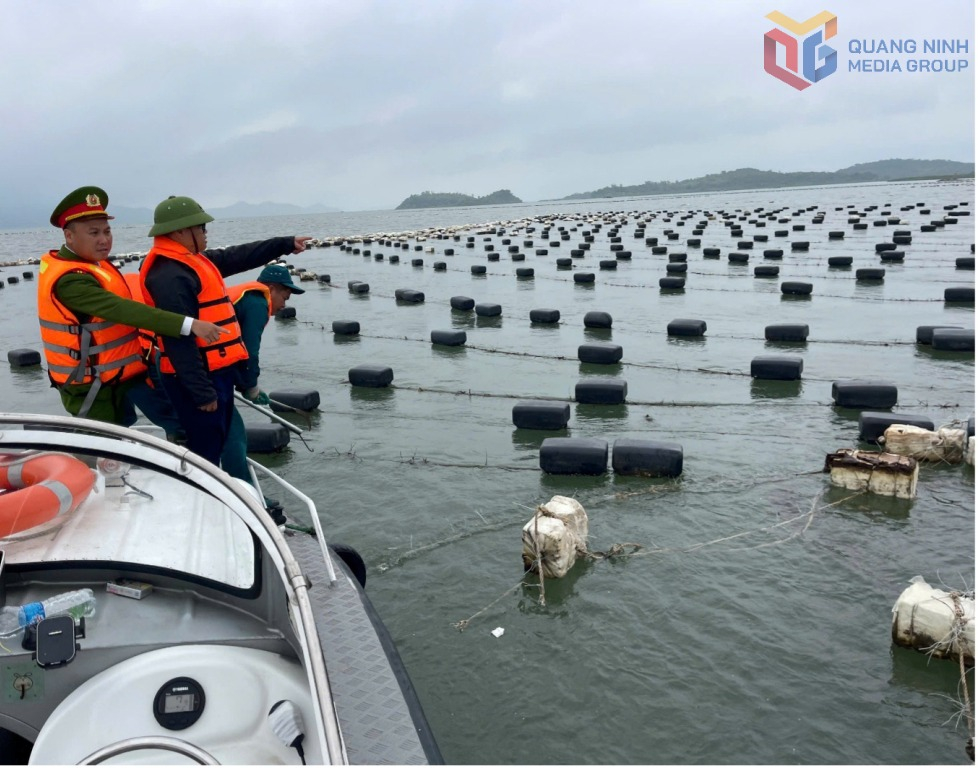 Quảng Ninh: Xã Đầm Hà xử lý, tháo dỡ 4,5ha nuôi trồng thủy sản trái phép