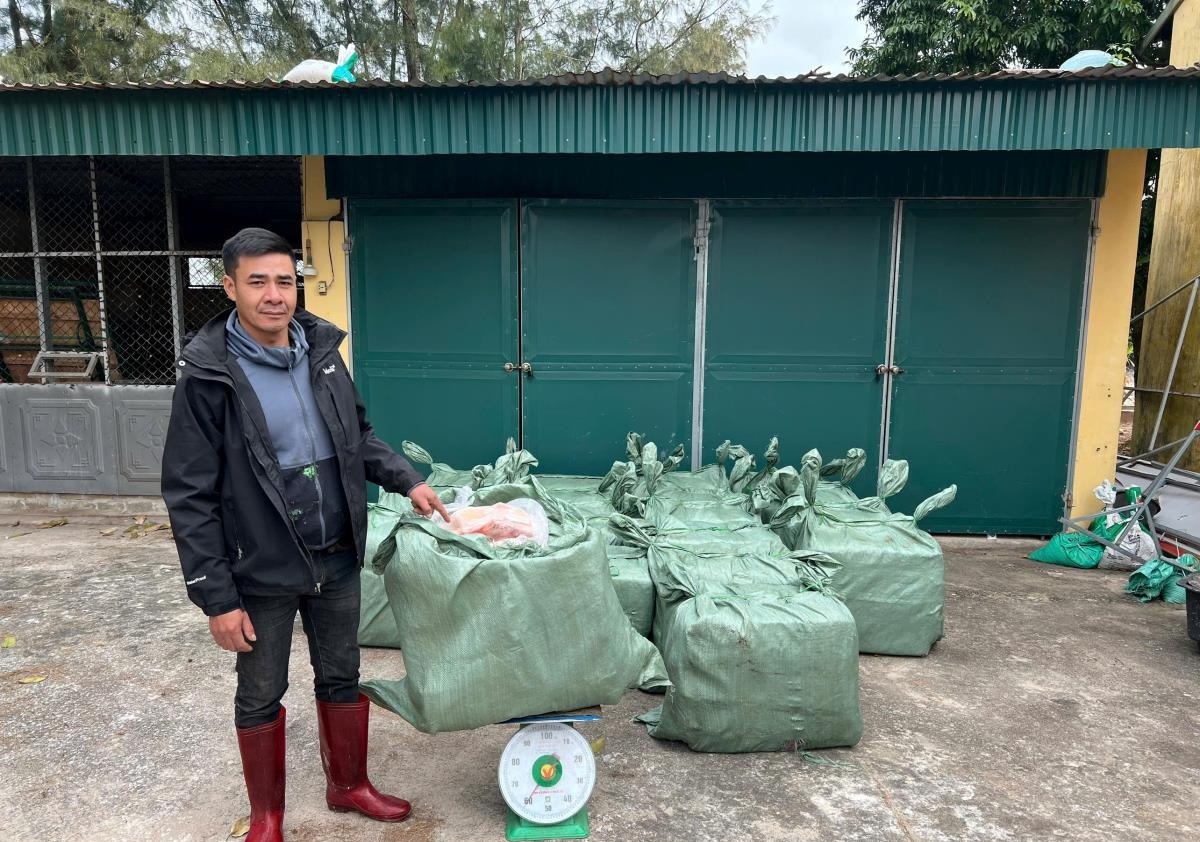 Quảng Ninh: Bắt giữ đối tượng vận chuyển 1,2 tấn thịt vịt đông lạnh nhập lậu trên biển
