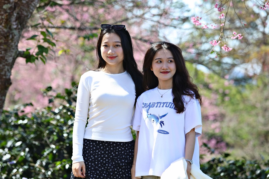 Du kh&aacute;ch chụp ảnh lưu niệm với mai anh đ&agrave;o Lang Biang, thuộc phường Lang Biang - Đ&agrave; Lạt cuối th&aacute;ng 12/2025