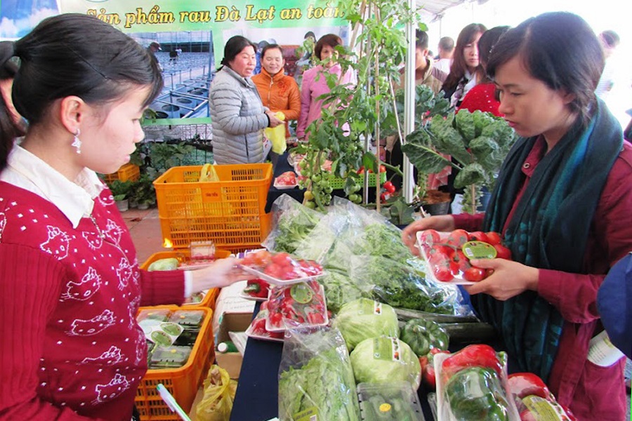 Lâm Đồng: Thúc đẩy phát triển kinh tế hợp tác xã