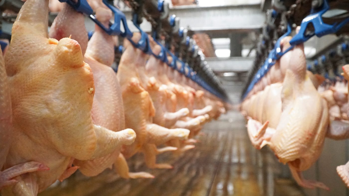 Thanh Hóa tăng cường quản lý kiểm dịch, bảo đảm an toàn thực phẩm dịp Tết và Lễ hội Xuân 2026