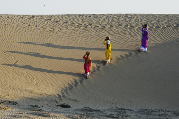 Đồi c&aacute;t Nam Cương